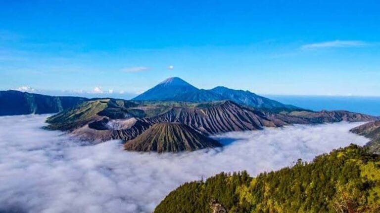 bromo